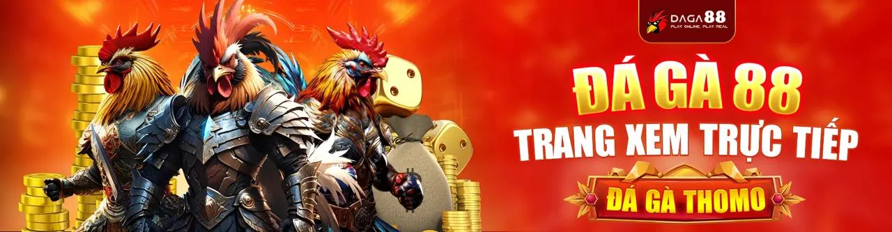 Đá gà trực tuyến tại cwin05 nhà cái